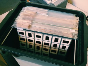 We digitised over 7000 slides for the Department